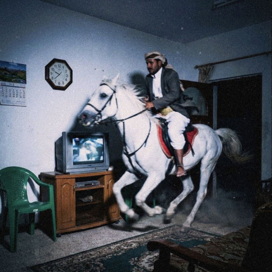 The Zone - Noiredelic